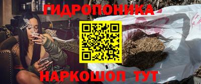 Альфа ПВП Заволжье