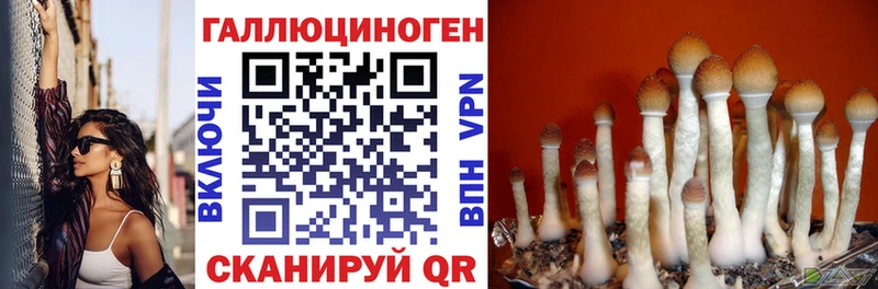 Галлюциногенные грибы мицелий  продажа наркотиков  Новороссийск 