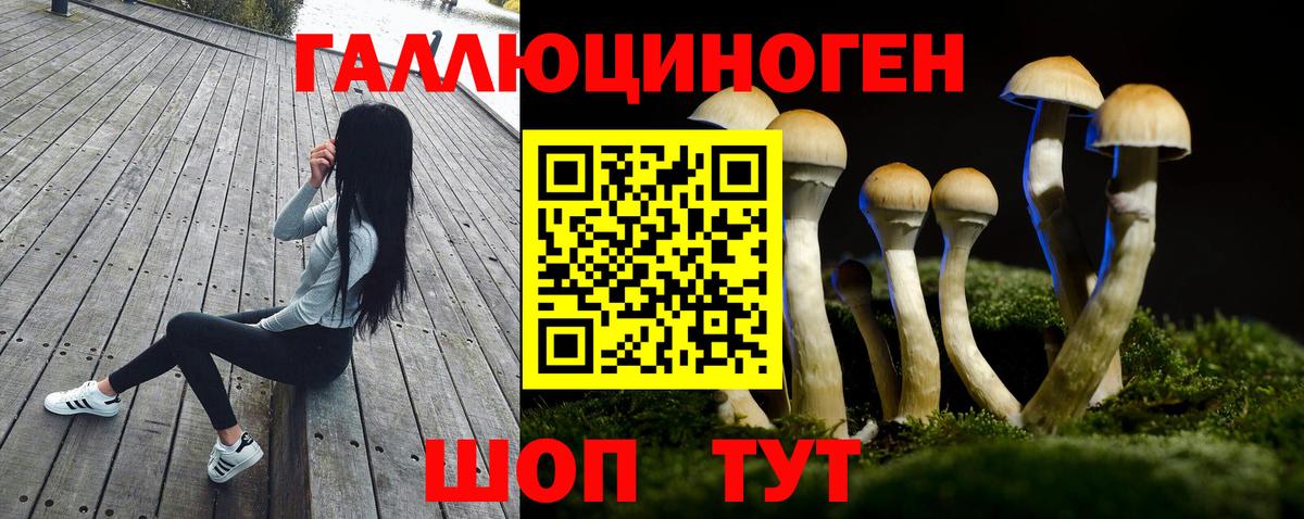 Галлюциногенные грибы мухоморы Новороссийск